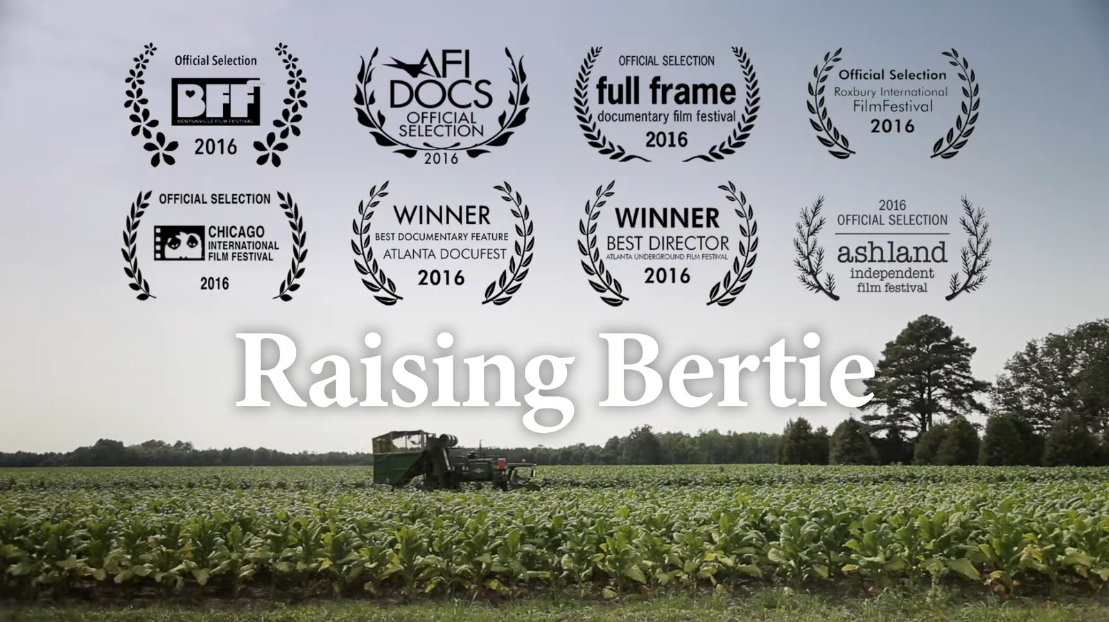 Raising Bertie